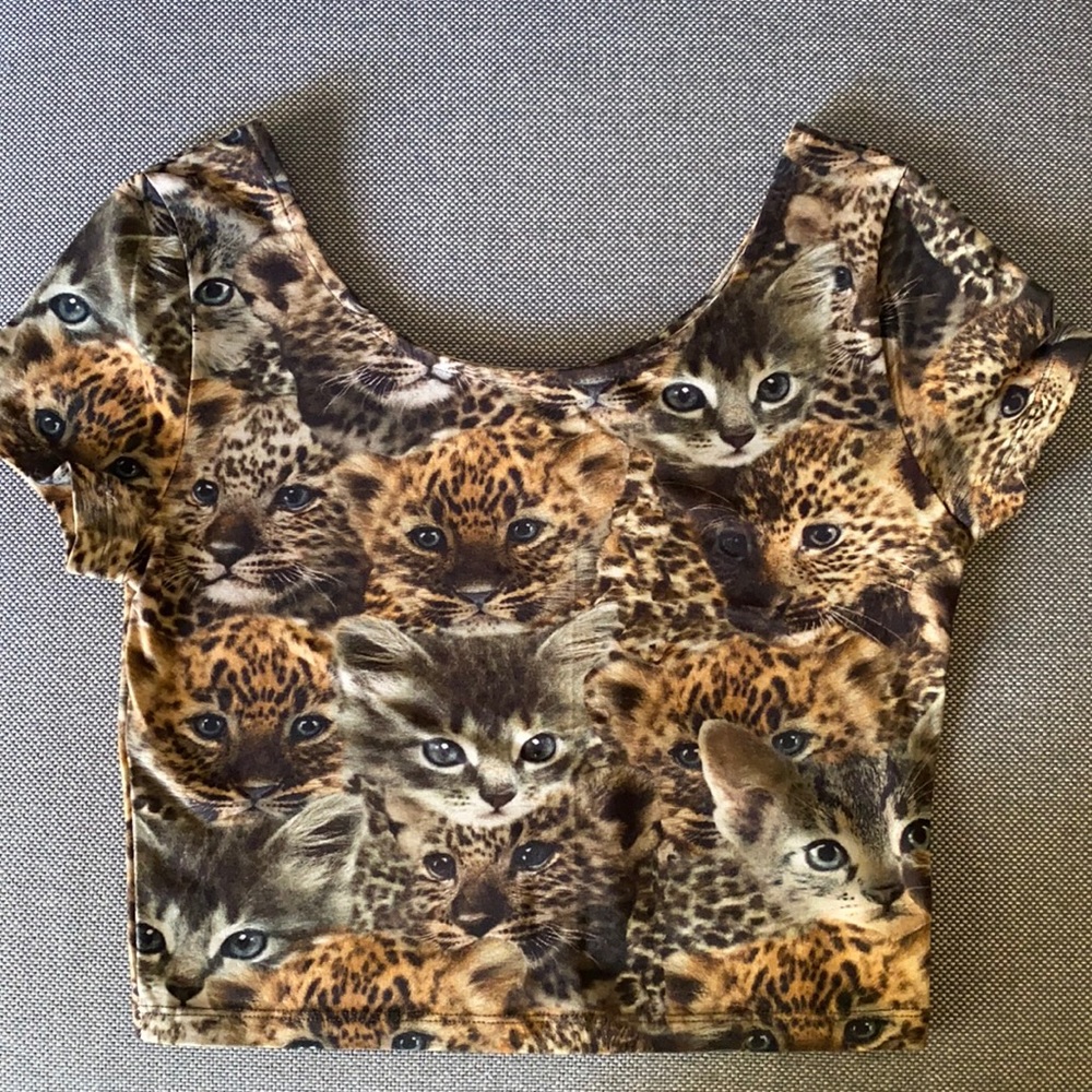 If you like cats u will like this:)